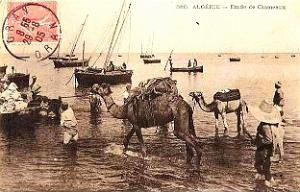 Oran 026